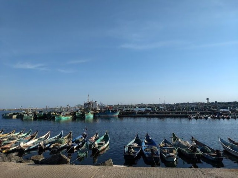Royapuram Fishing Harbour_5